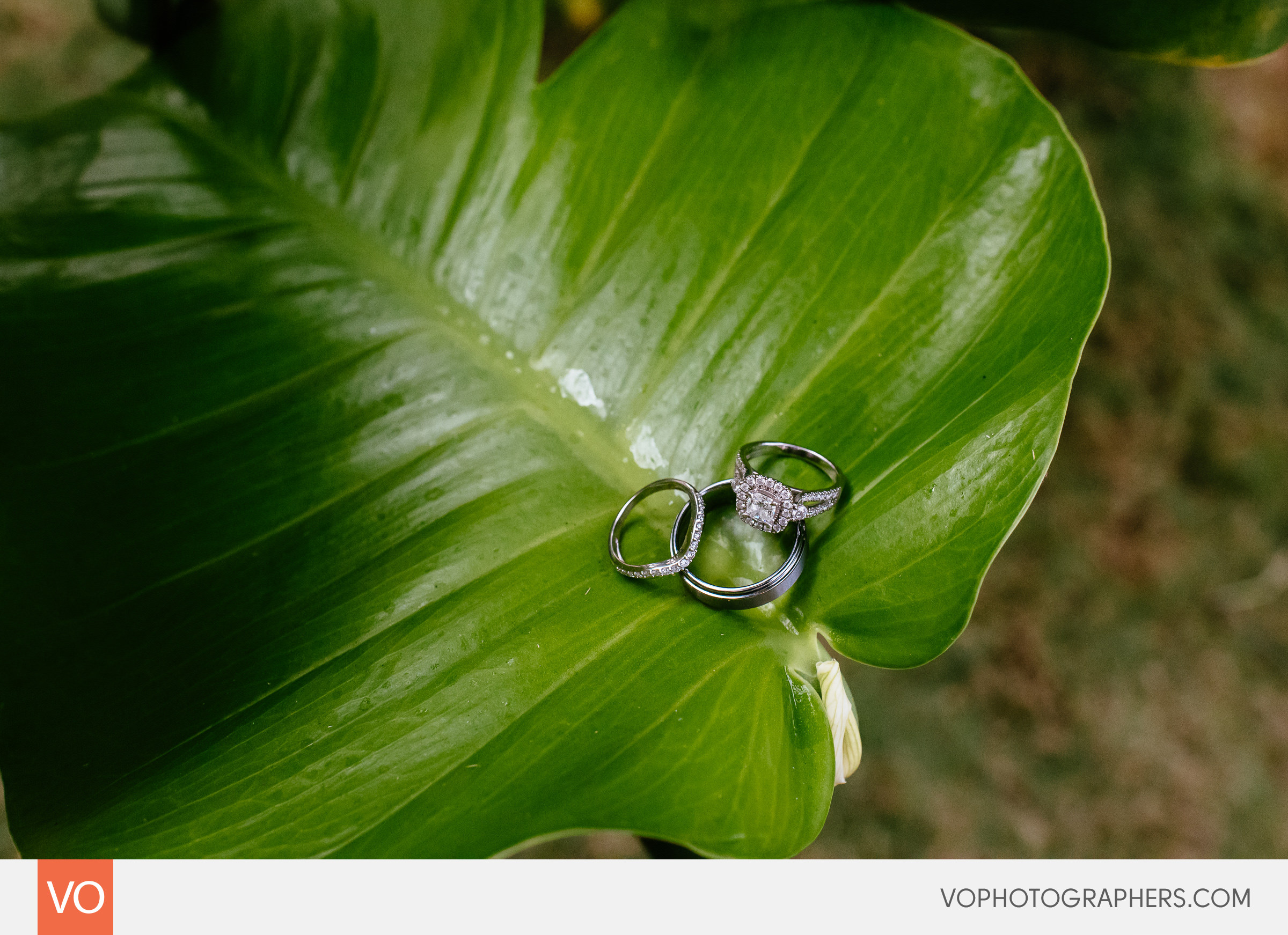Majestic Colonial Punta Cana Dominican Republic Destination Wedding