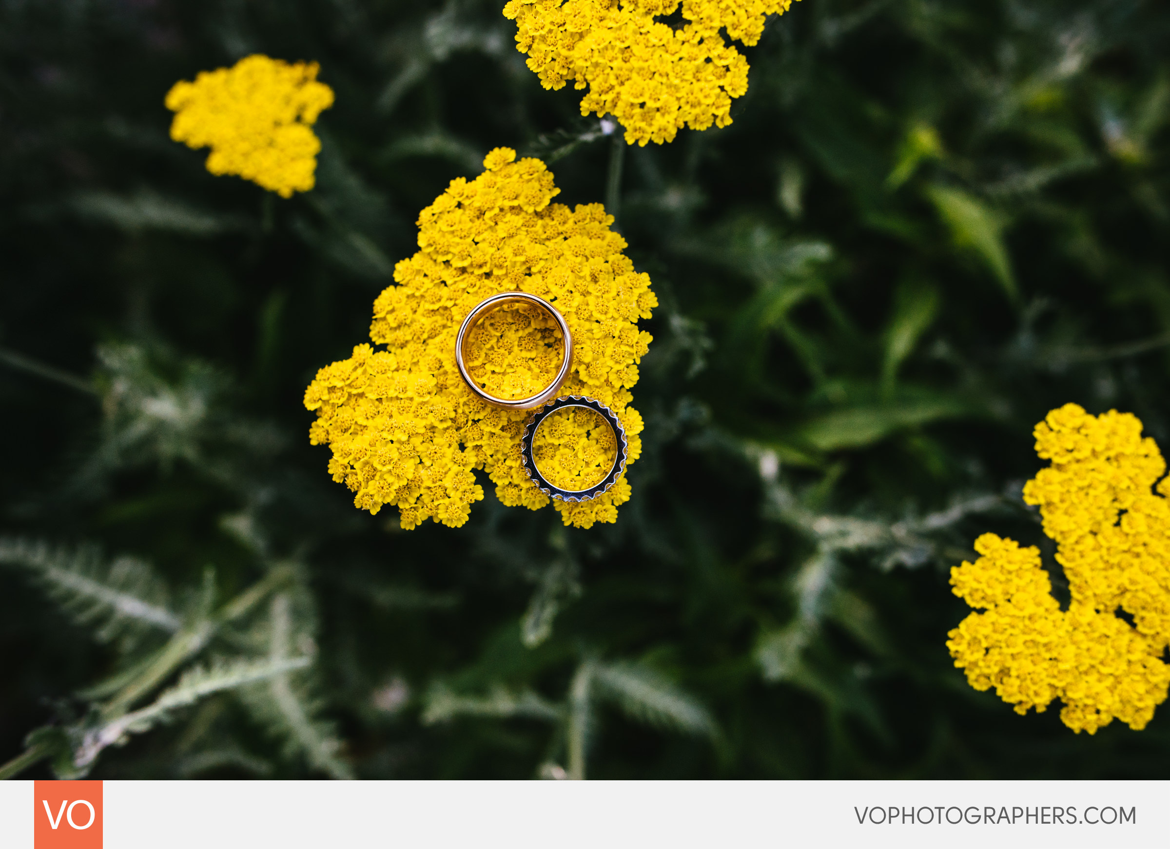 Farmington Gardens Wedding
