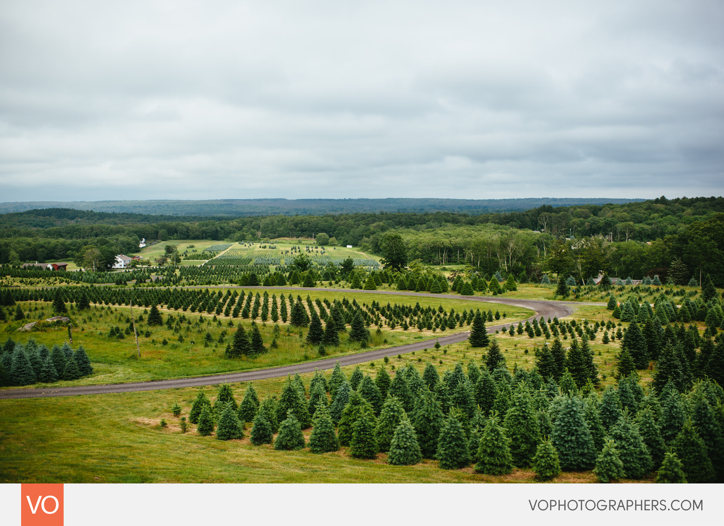 Overlook at Geer Tree Farm Wedding
