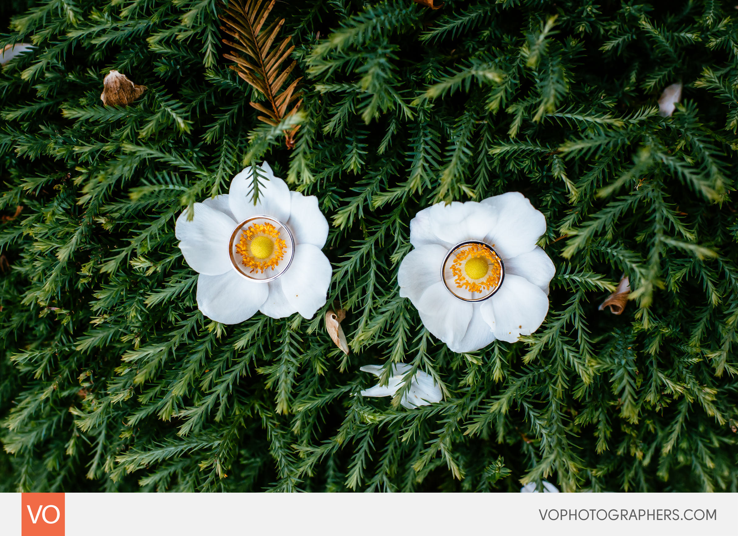 Pond House Cafe Wedding