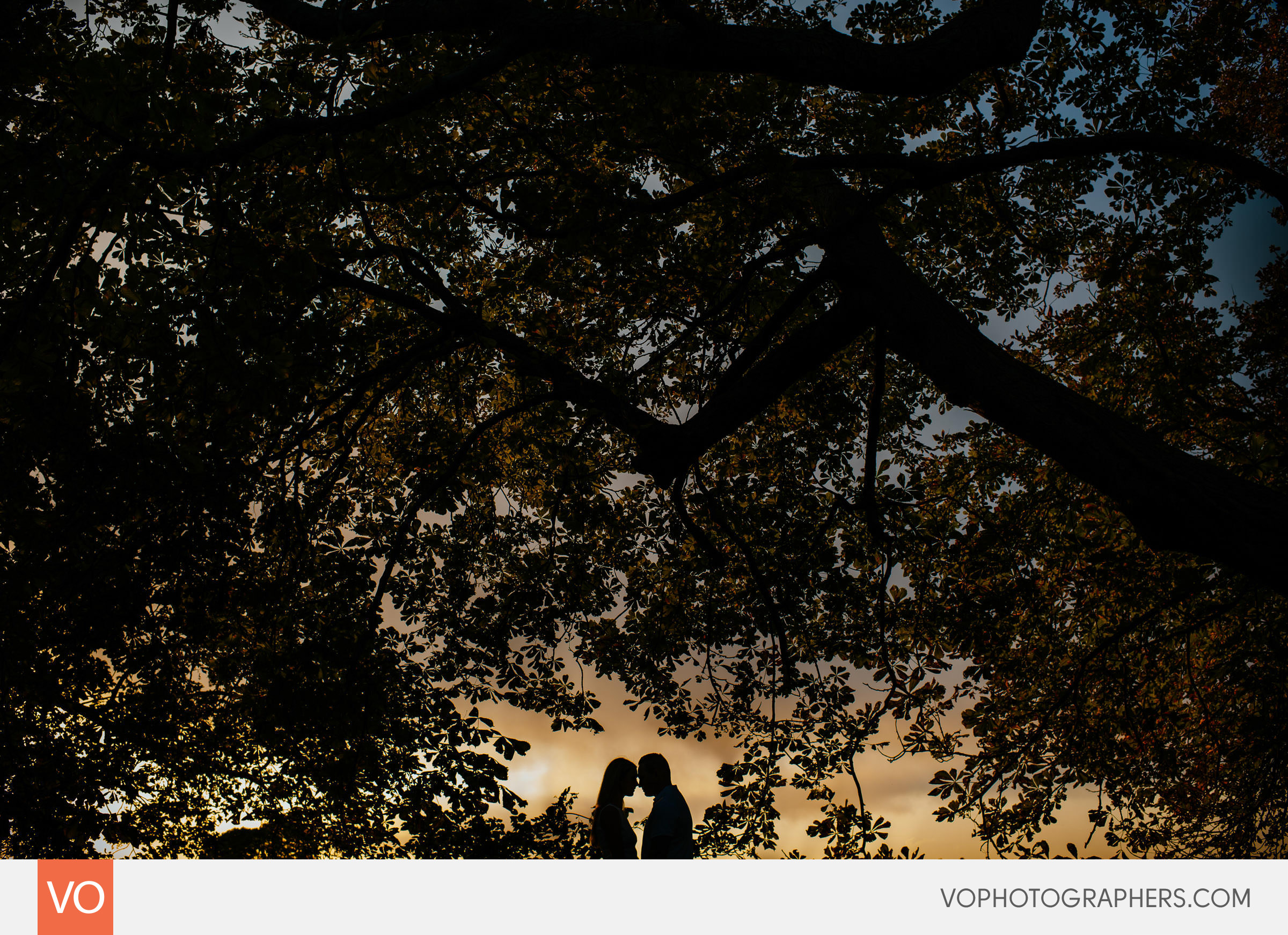 Harkness Park Engagement