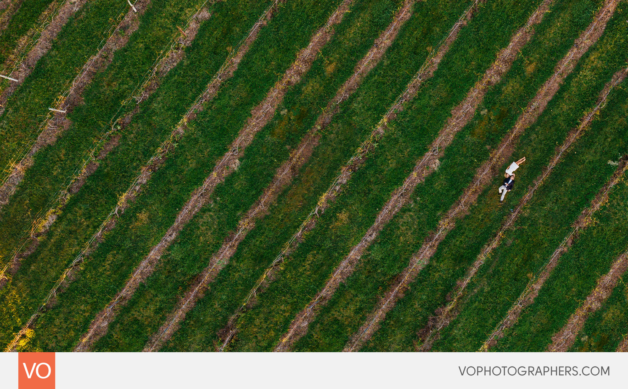 Gouveia Vineyard Engagement
