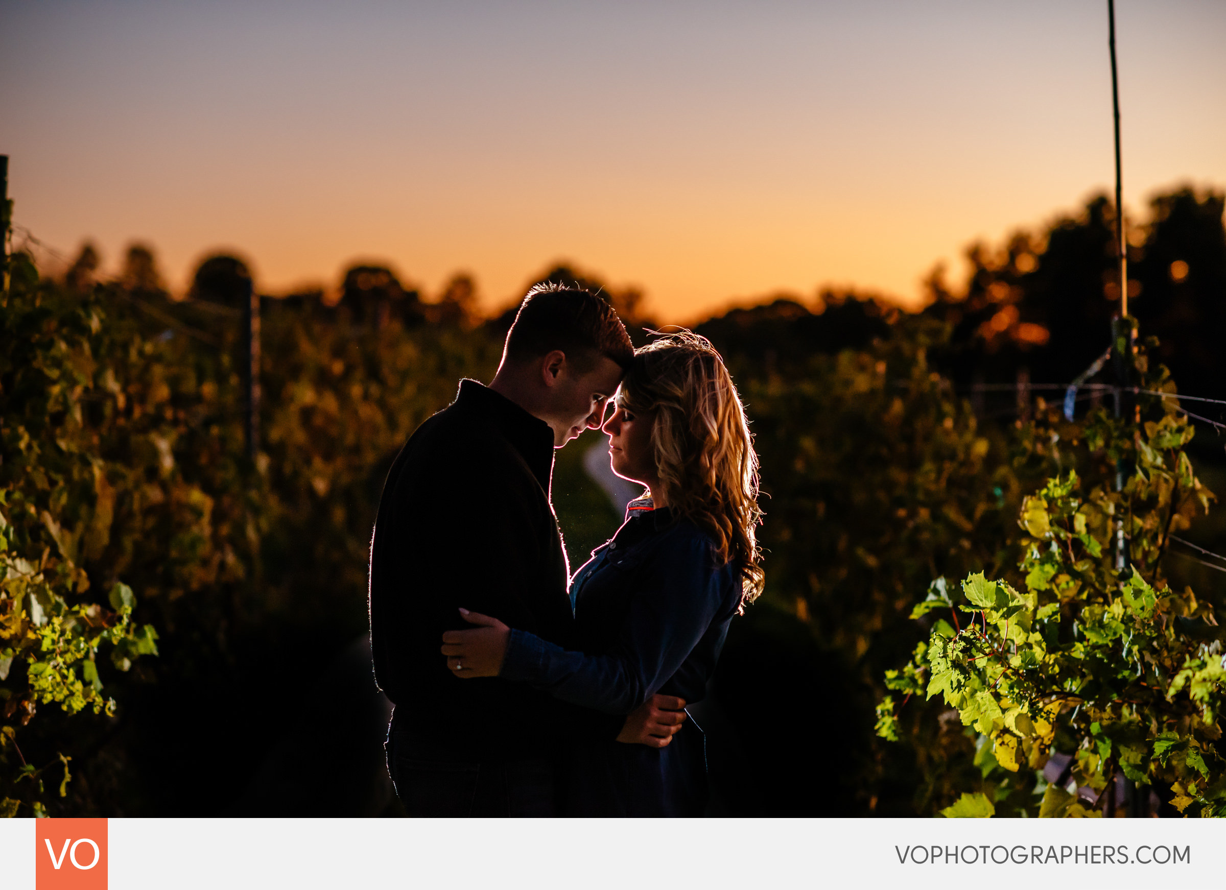 Gouveia Vineyard Engagement