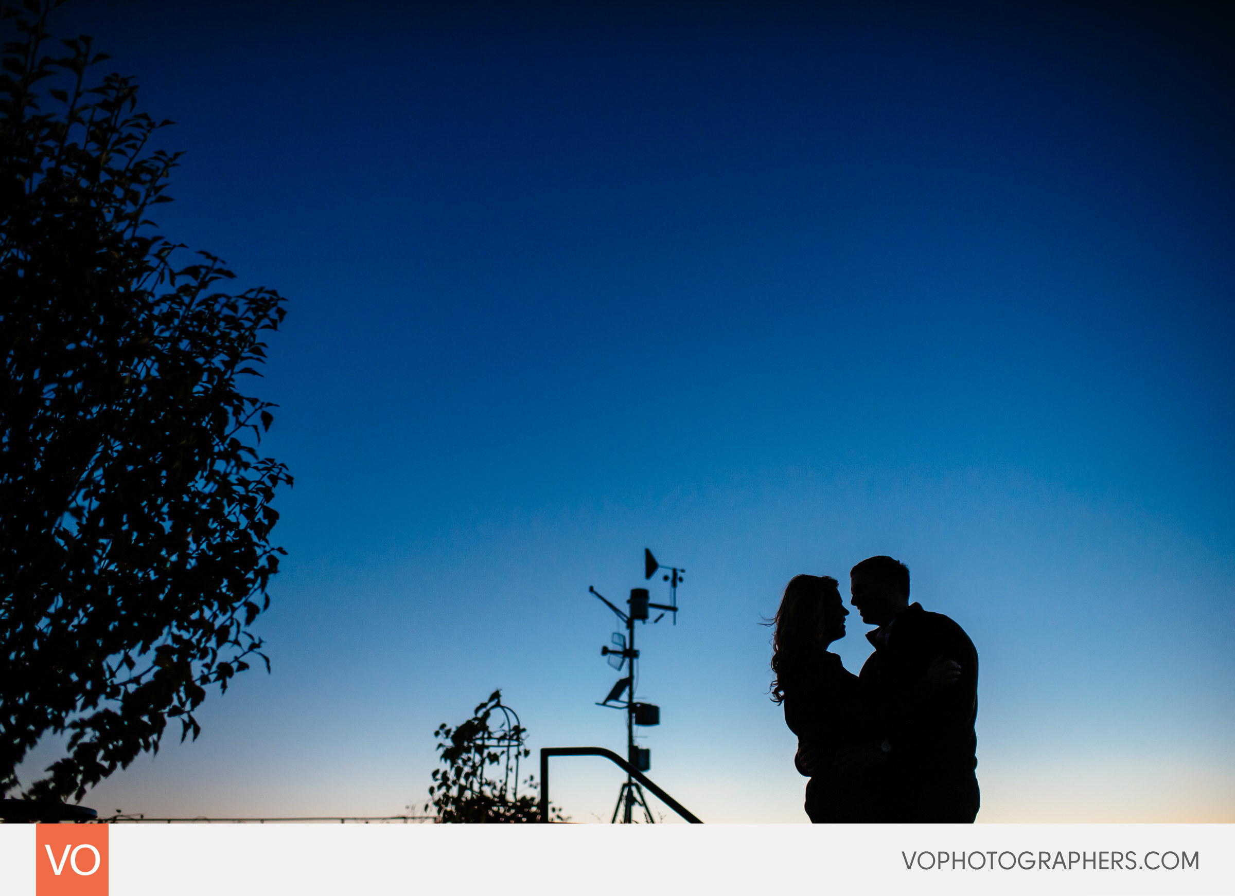 Gouveia Vineyard Engagement